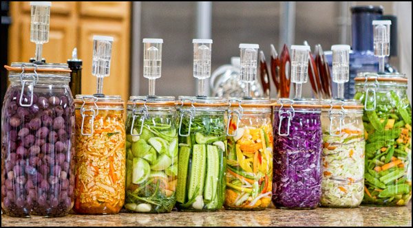 1-fermenting-general-information-mullen-health