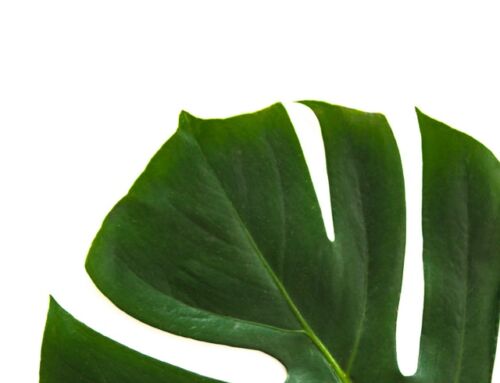 10 Signs you might have Hyperthyroidism