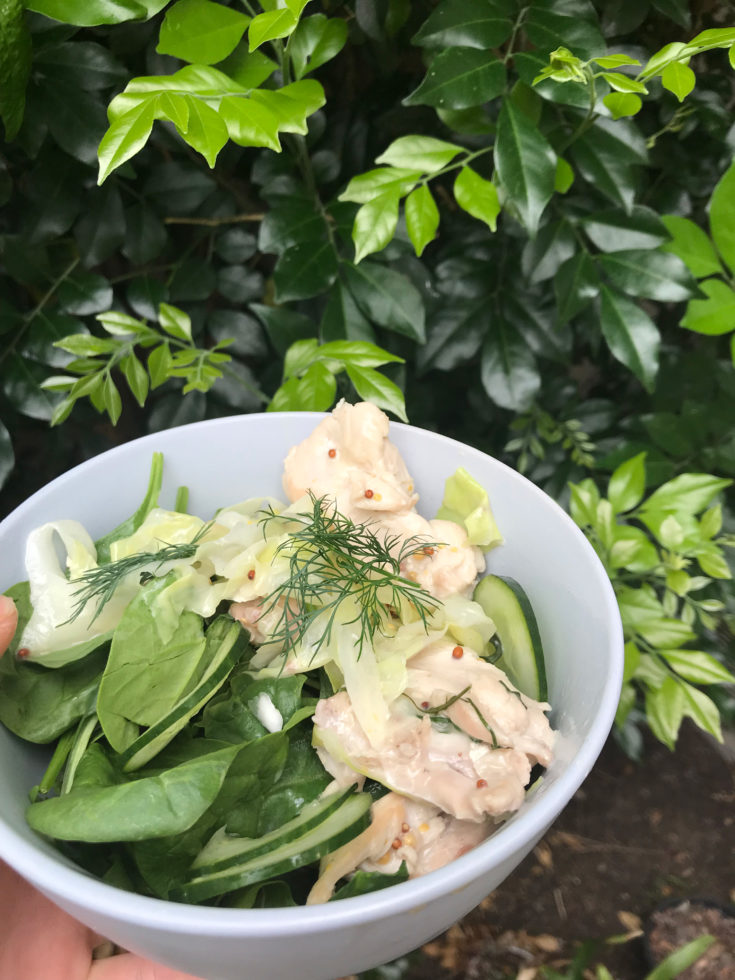Creamy Coconut Chicken - Naturopath Newcastle NSW