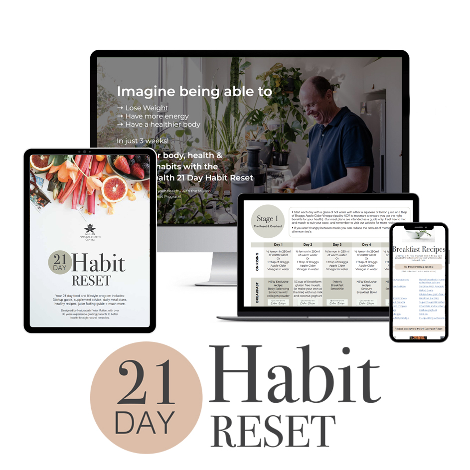 21 Day Habit Reset Program - Image 5